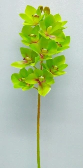 Cymbidium Stick 10 Flower 2 Bud Real Touch